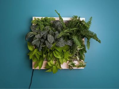Wall hanging self watering planter box