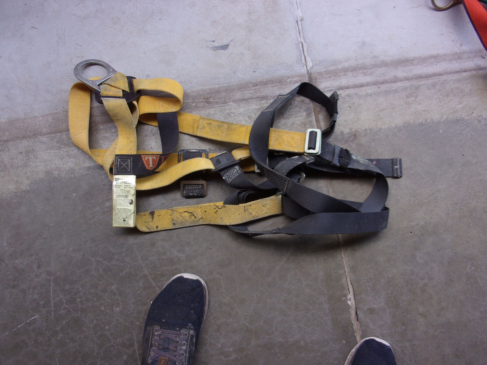 Safety harness