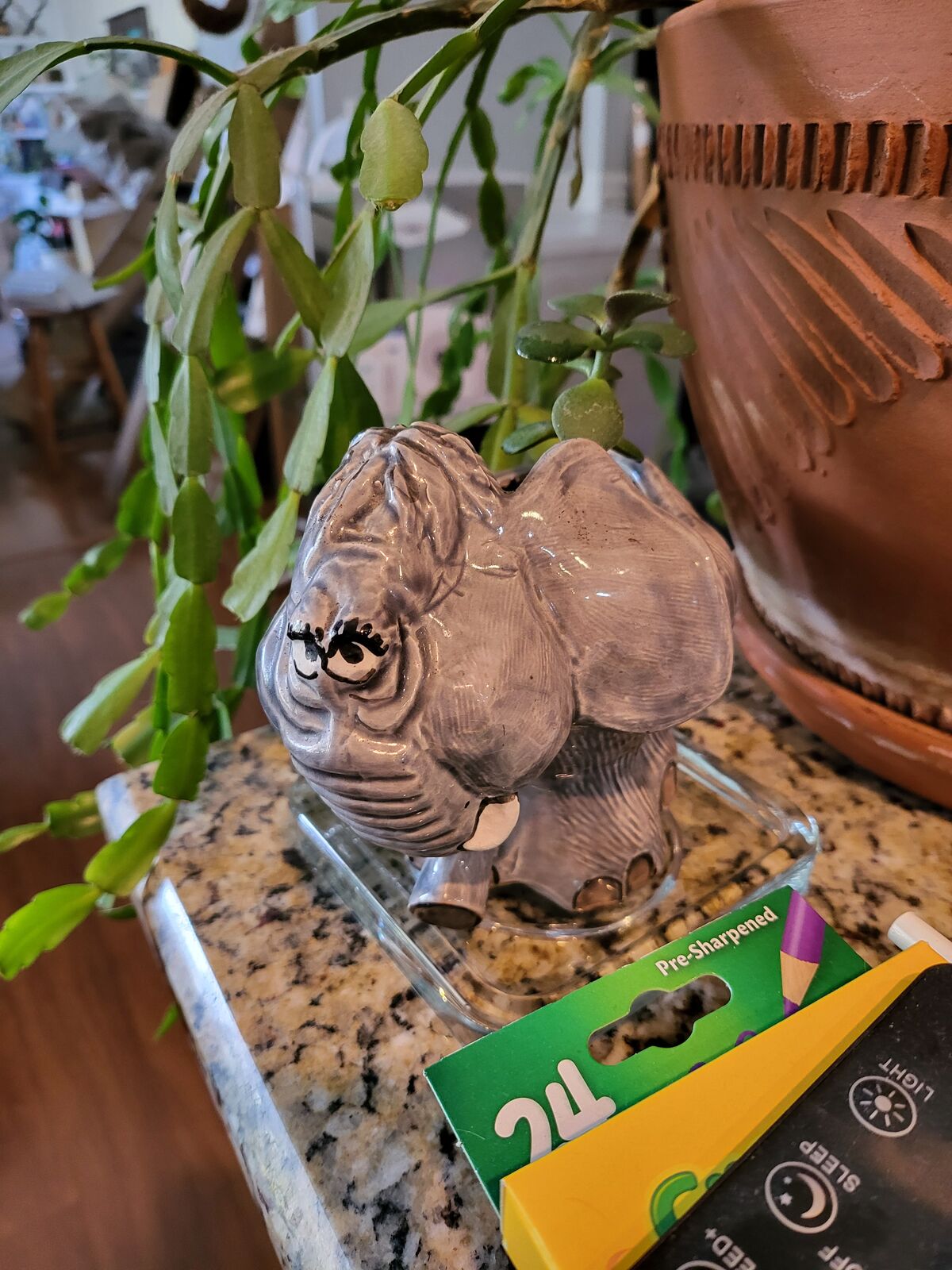 Unique gifts: Plants