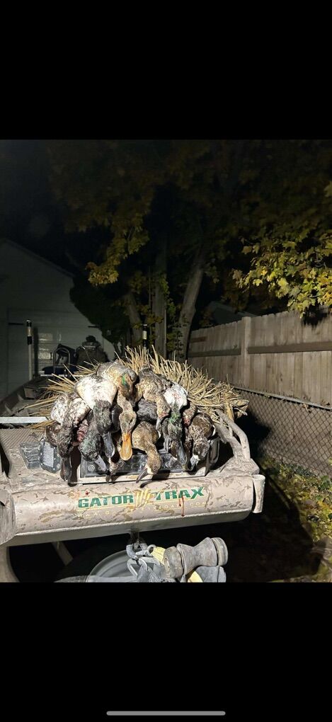 1862Gatortrax Hypersport 2023 Turbo Mudbuddy 40HDR