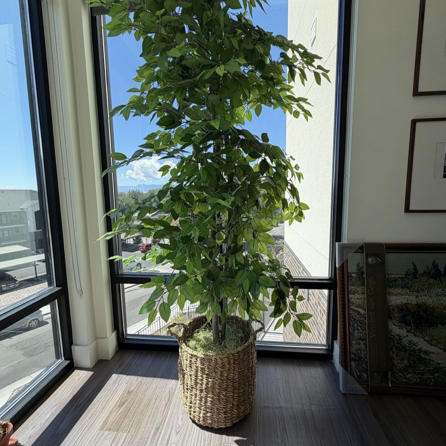 Large Artificial Tree with Basket – Approximately 7+ ft Tall 