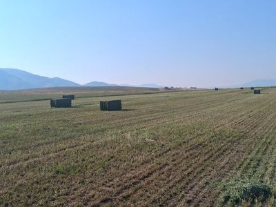 2nd crop 3x3 bales