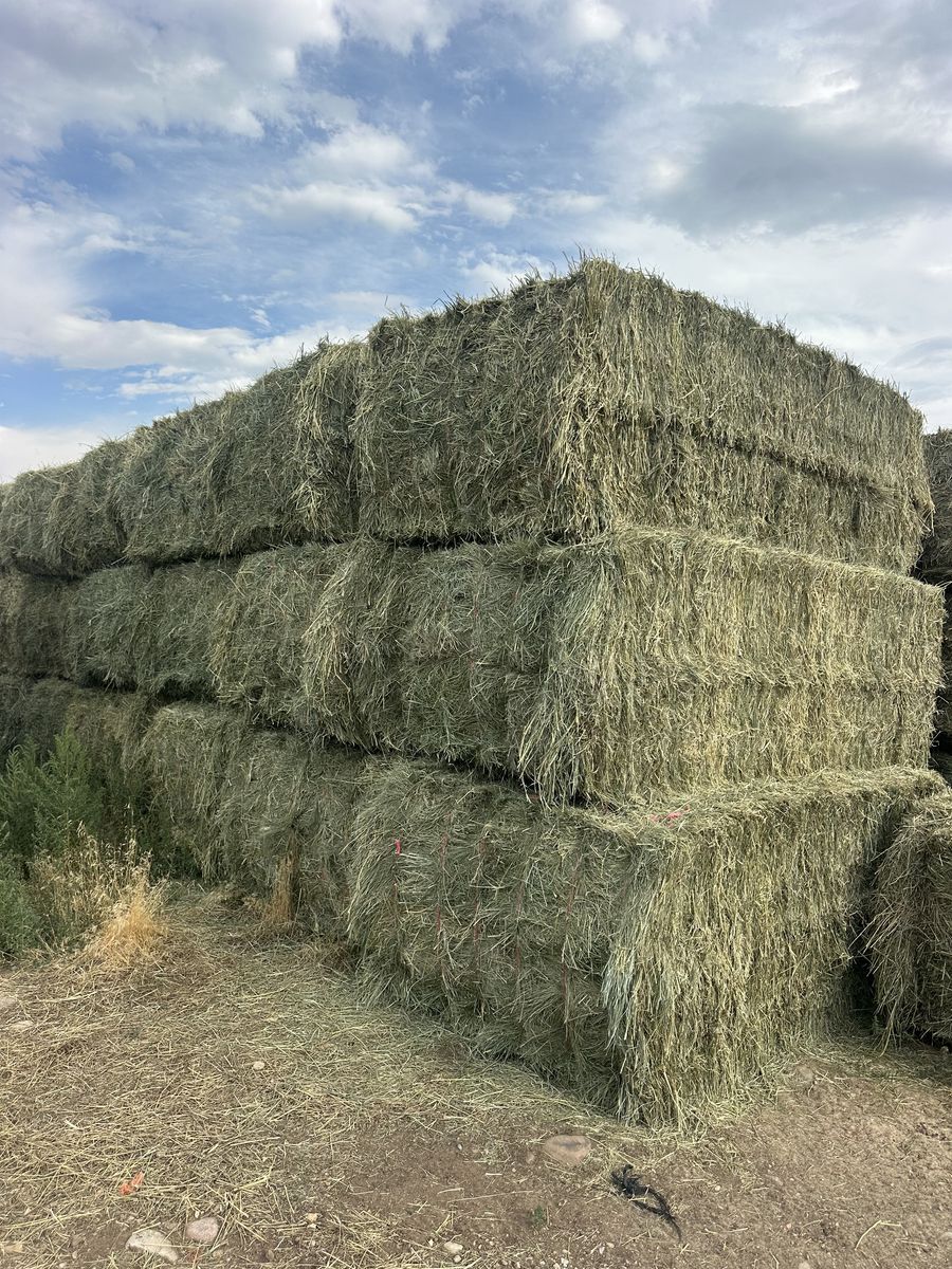 Alfalfa/grass mix Hay