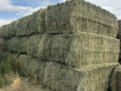 Alfalfa/grass mix Hay