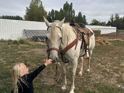 2016 APHA Ranch and Roping Mare