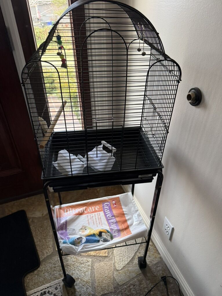 Bird Cage