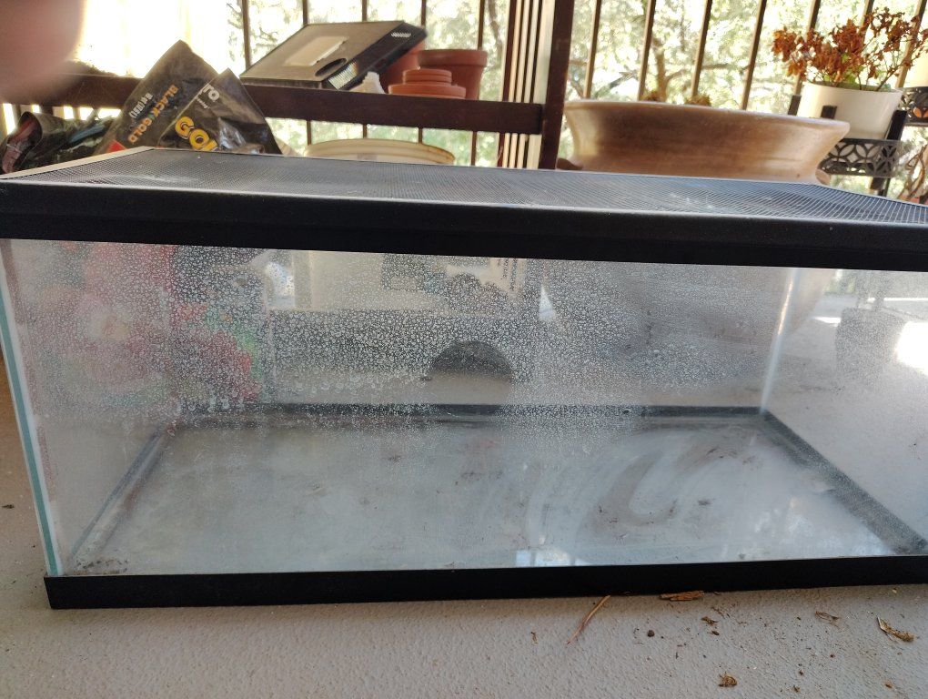 Used 20 Gallon Long Tank