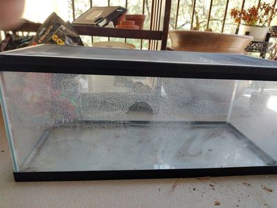 Used 20 Gallon Long Tank