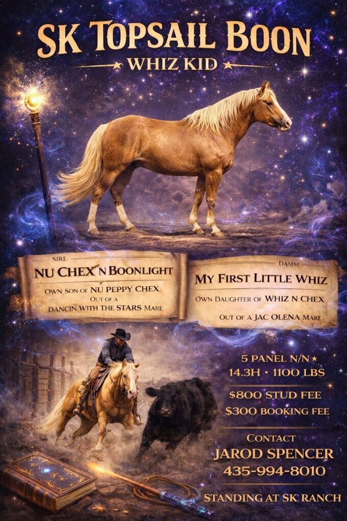 SK Topsail Boon LEGENDARY PEDIGREE