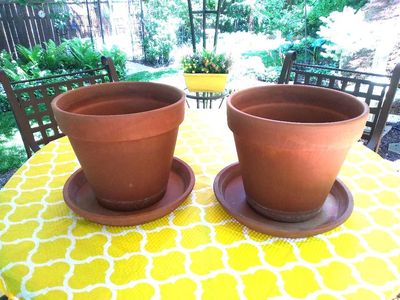 Clay Terra Cotta Pots