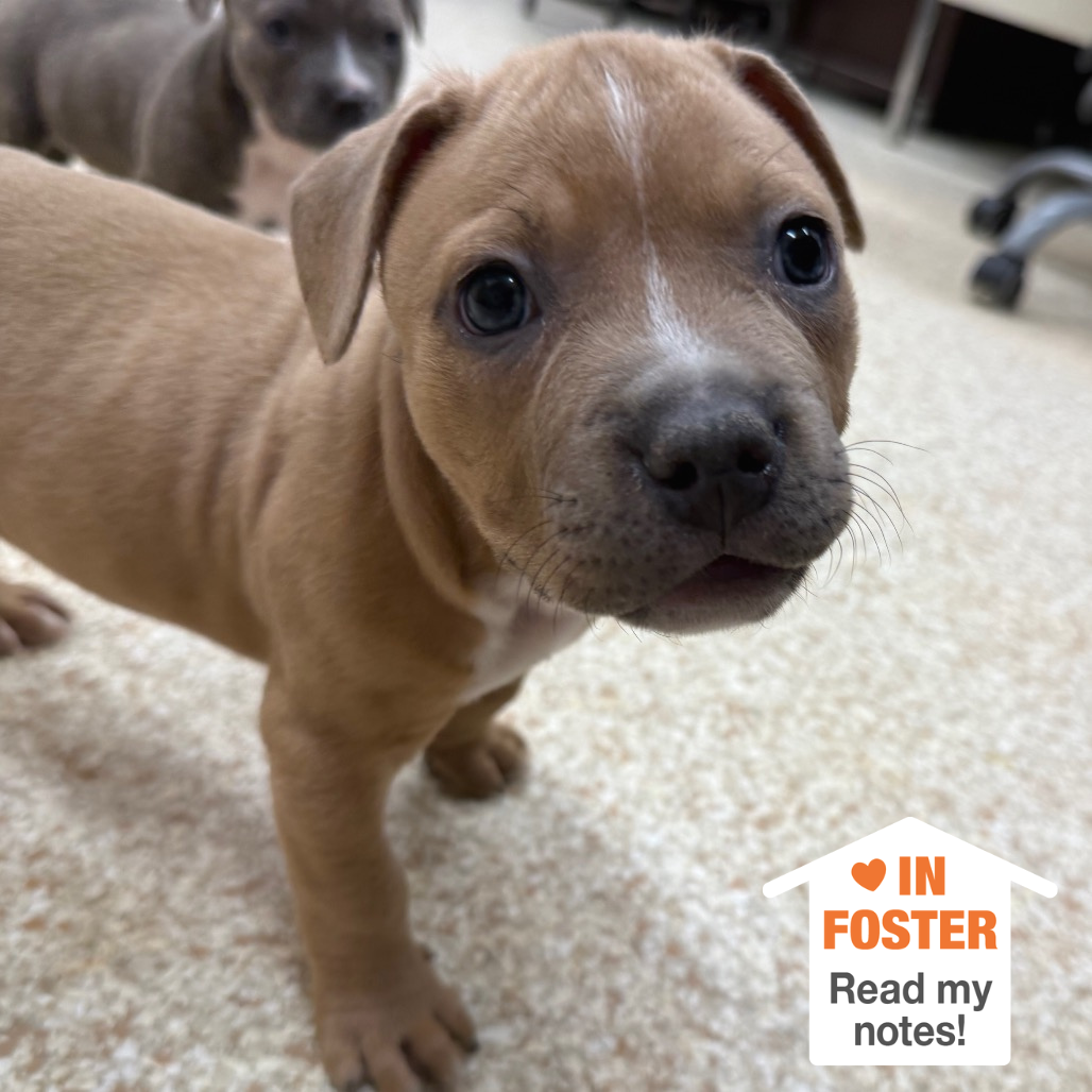 Hello my name is Retcon