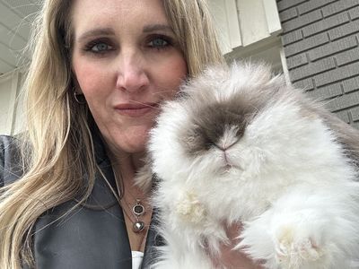 Gentle Teddywidder Doe