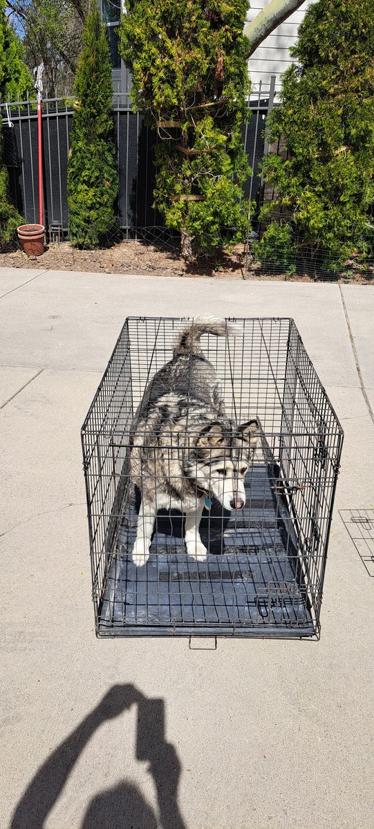 Dog crates
