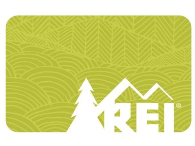 REI GIFT CARD 133 for 100