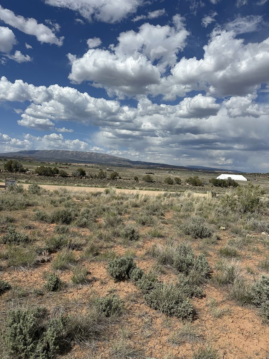 Main image 5