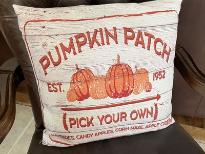 Pumpkin patch fall toss pillow 16 X 16