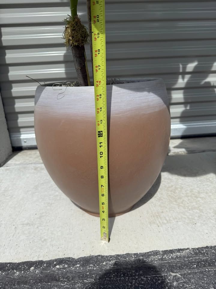 Main image 4