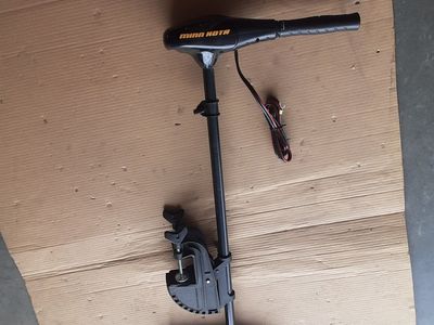 Minn Kota Endura C2 50