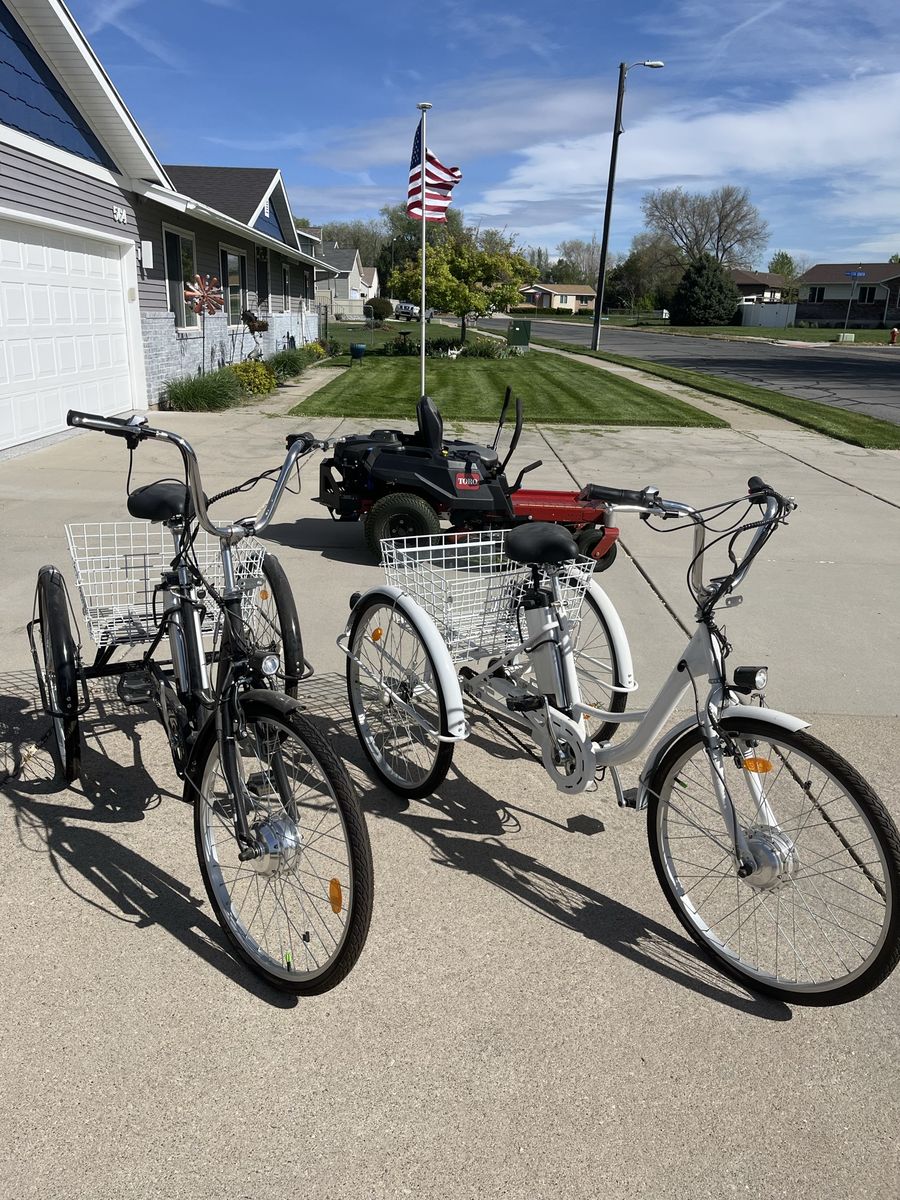 3-Wheel Electric Bikes