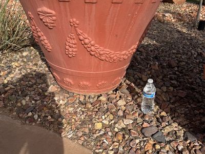 FREE 2 XL Terra Cotta Planters – 30” W x 33” H