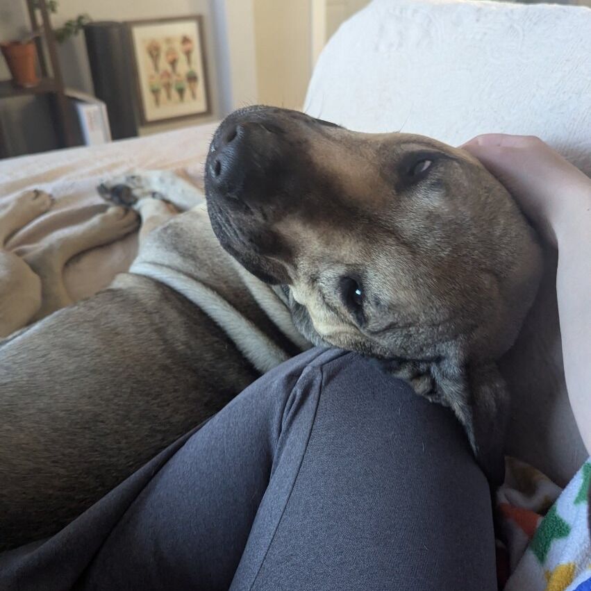 Hello my name is Poblano