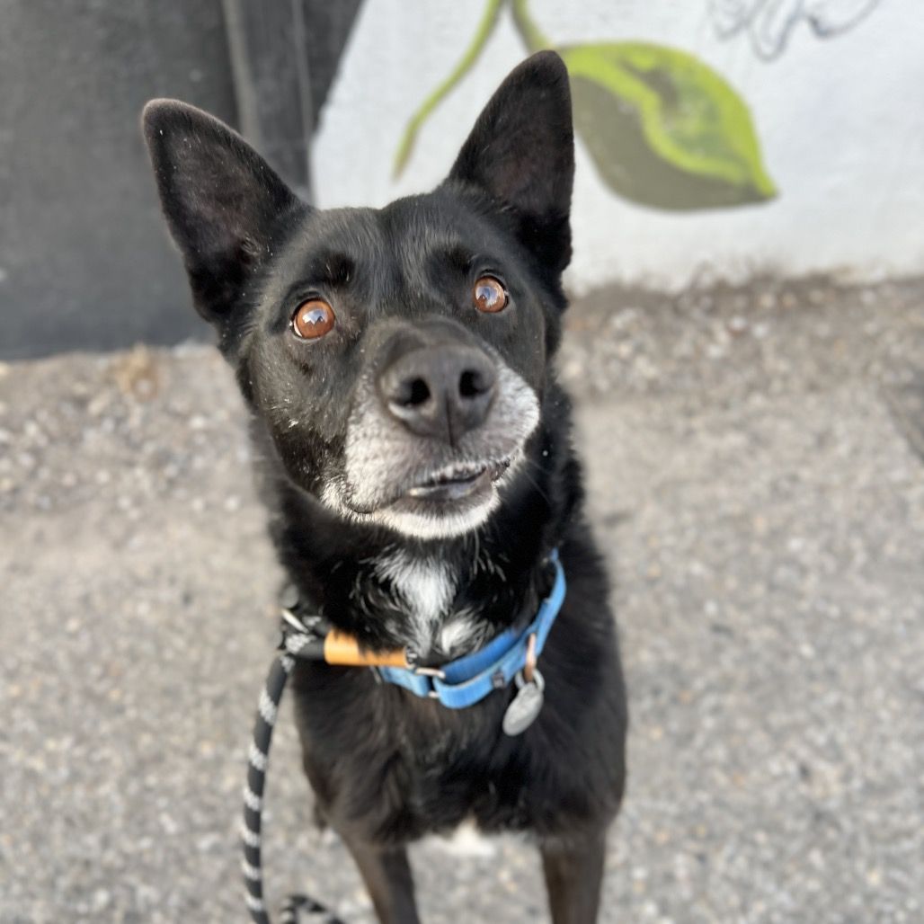 Hello my name is Charles