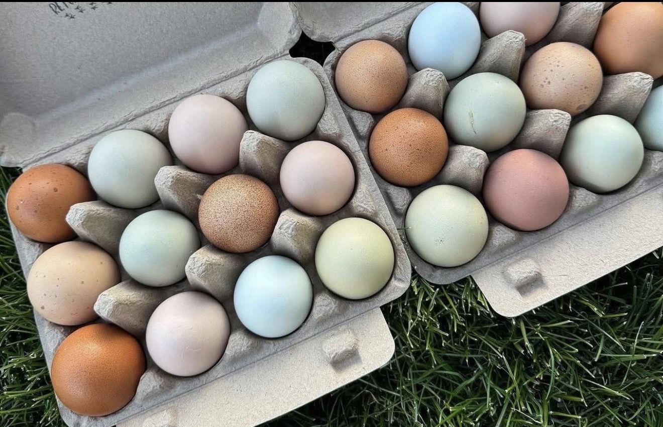 Naturally Colored Farm Fresh Eggs