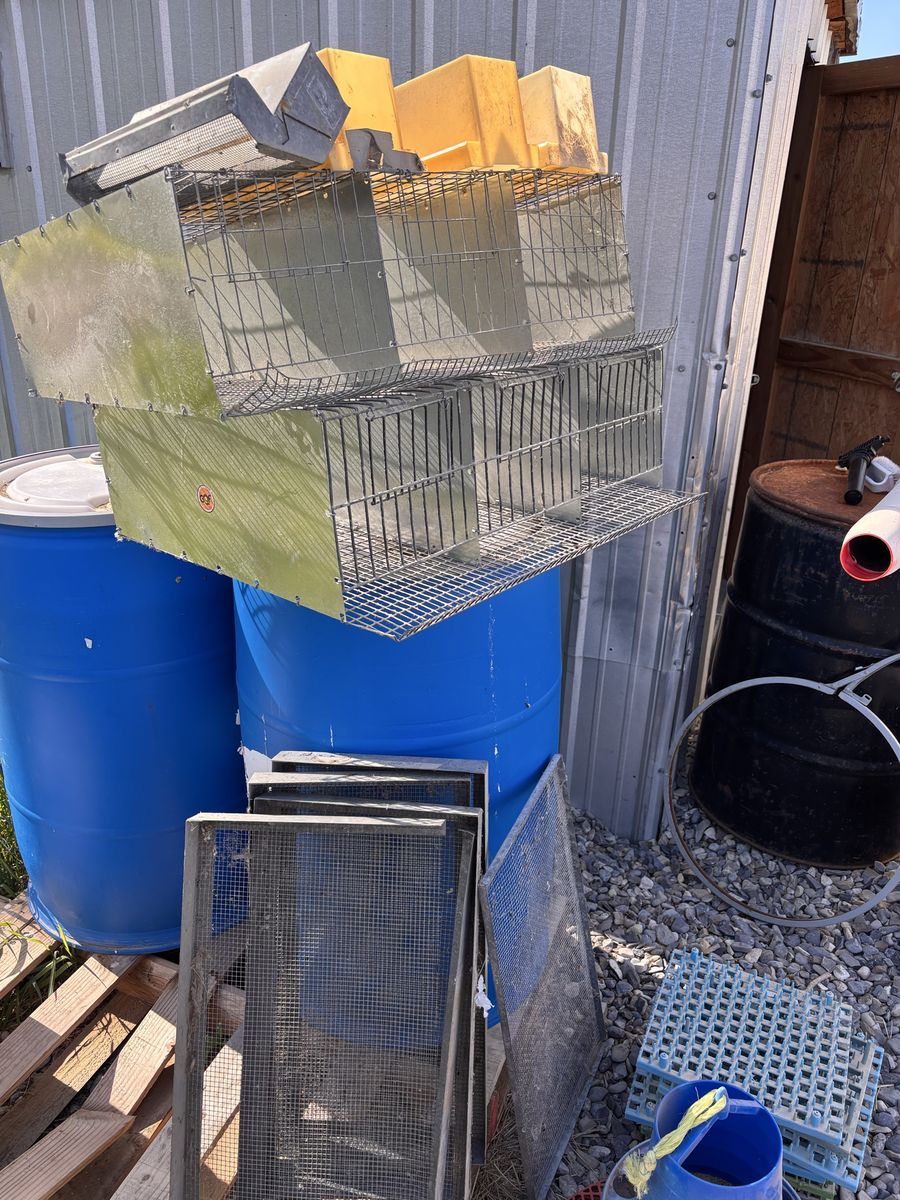 Bird supplies
