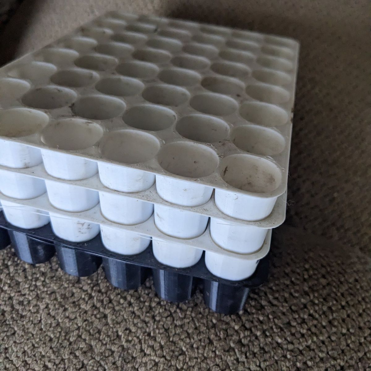 Charles Dowding Seed Trays