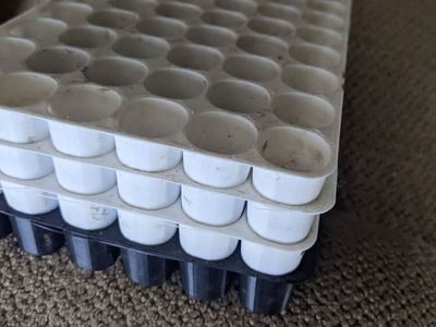 Charles Dowding Seed Trays