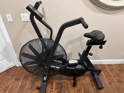 Rogue Echo Bike V3.0 (Excellent Condition)