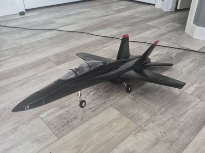 Twin 40mm F/A-18D
