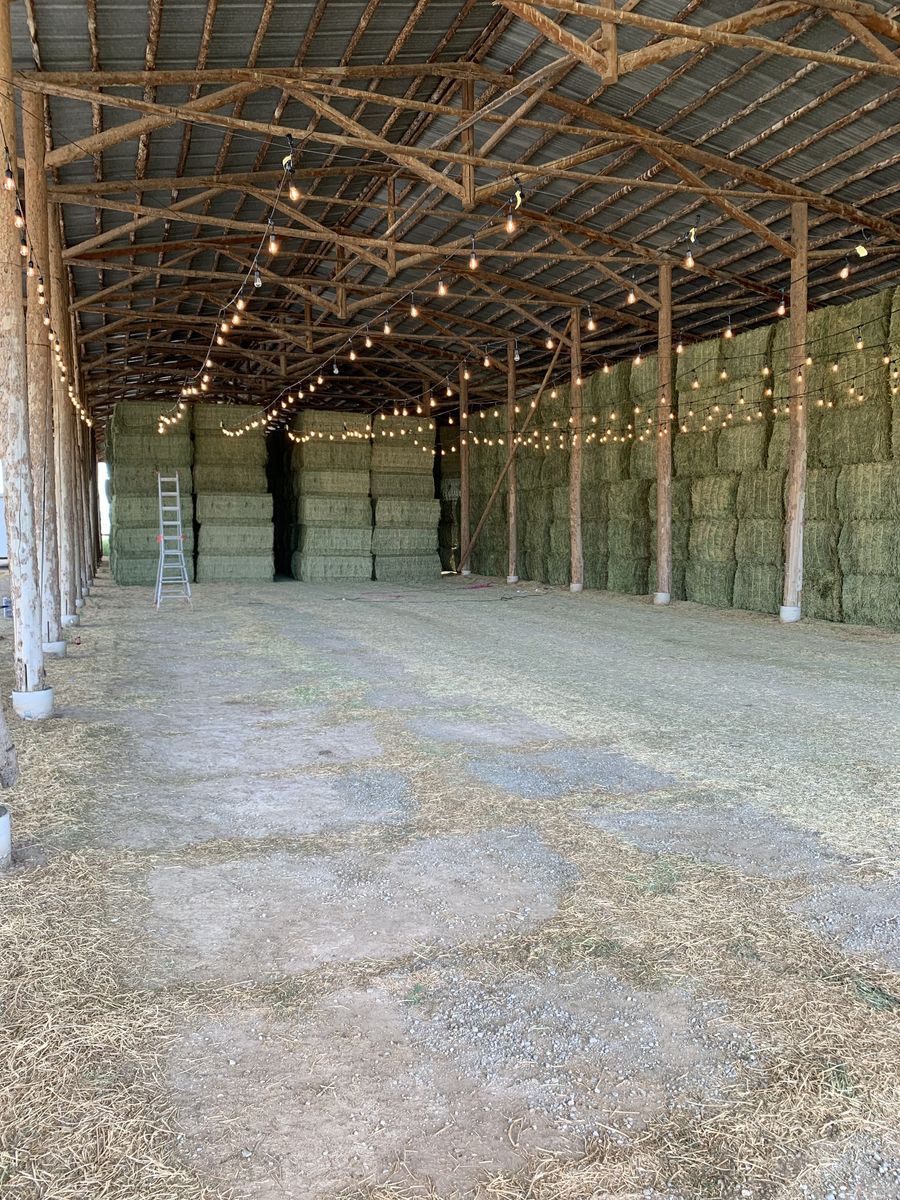 Premium Alfalfa 3x4's