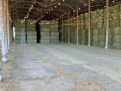 Premium Alfalfa 3x4's