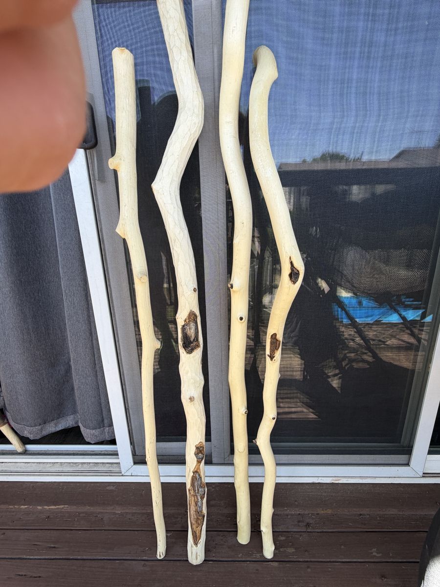 Handmade Quakie Aspen Walking Sticks - Natural Wood, Unique Designs, Set of 4