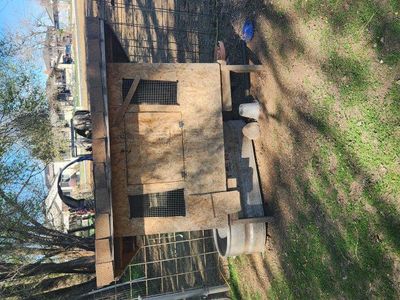 Brooder/Chickens coop