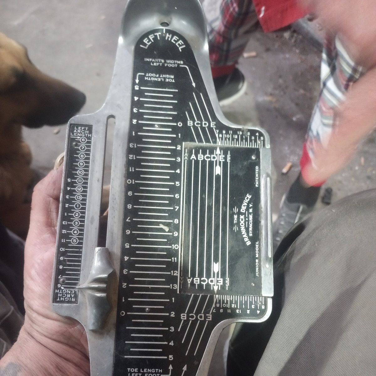 brannock device