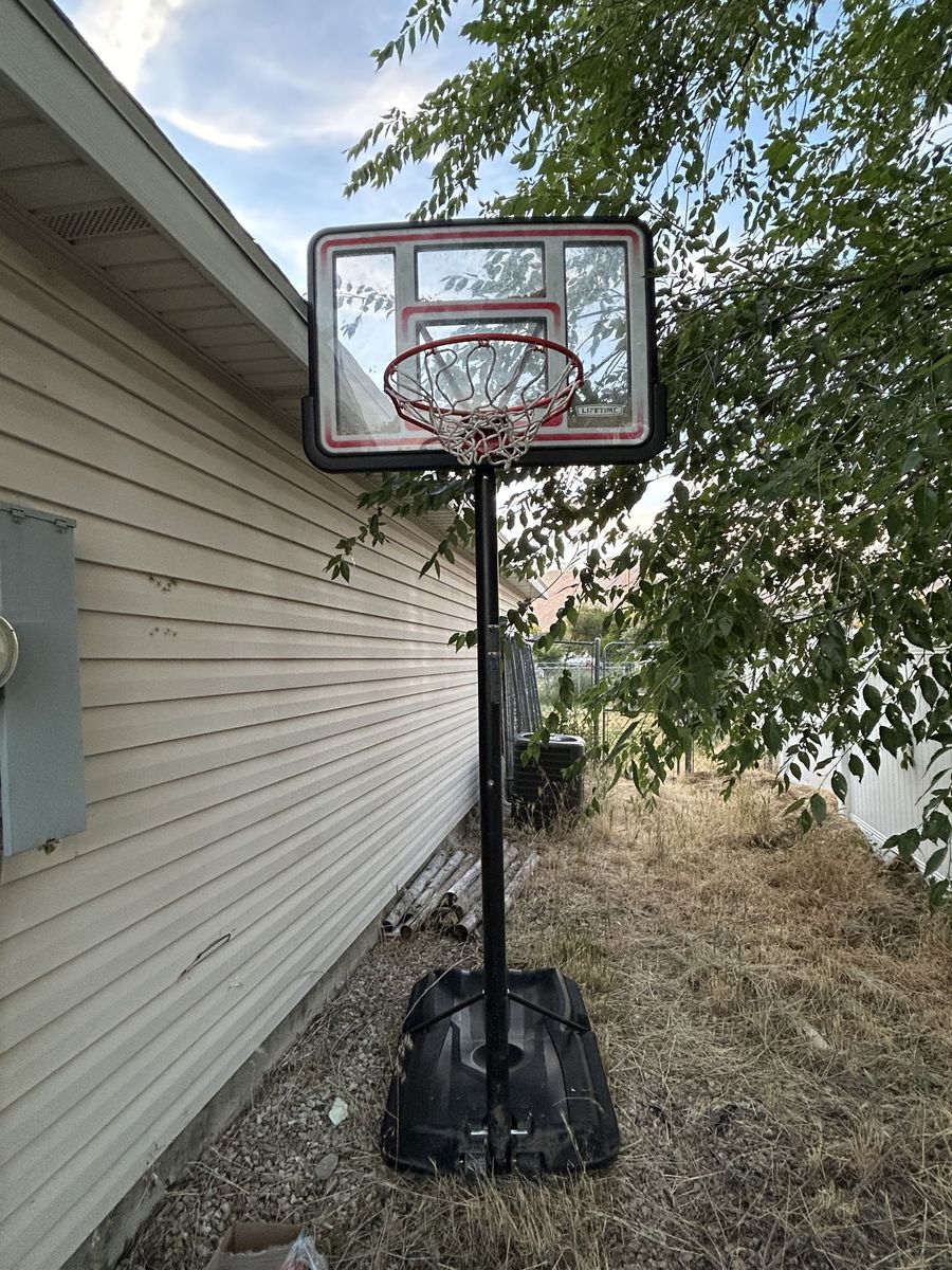 Lifetime portable basketball hoop