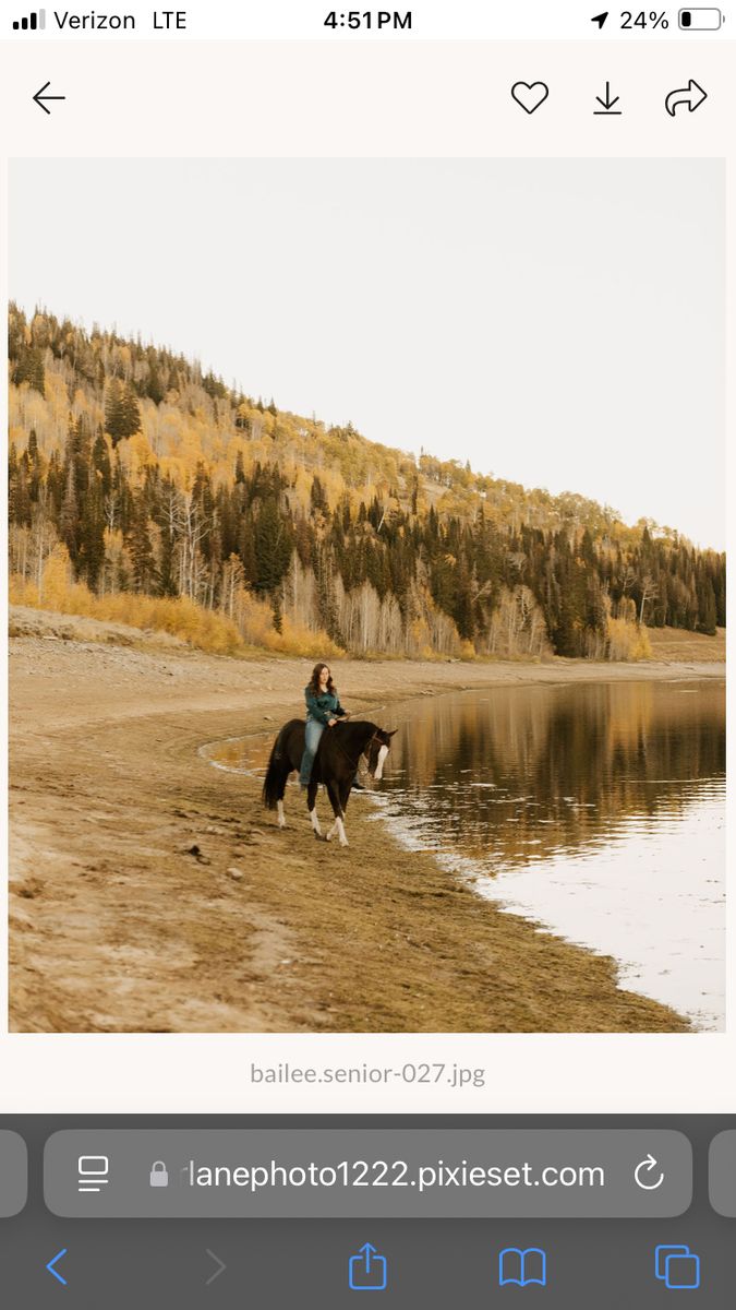 Colt StartIng & Tuneups