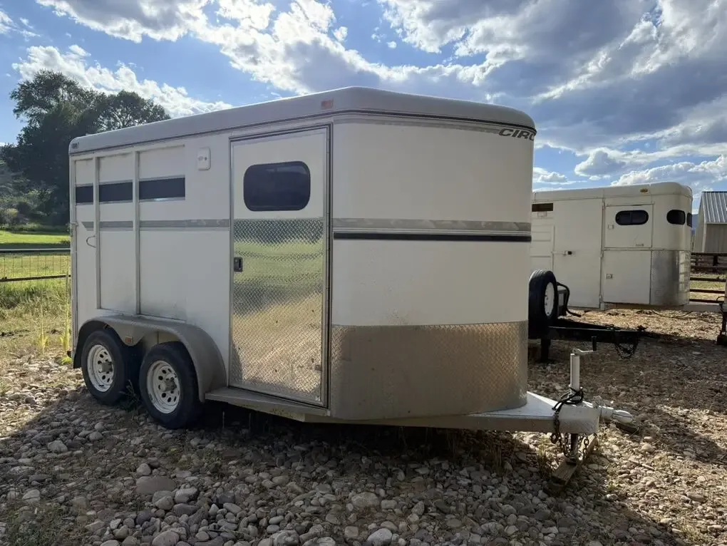 1999 Circle J Riata 2 Horse Slant Trailer