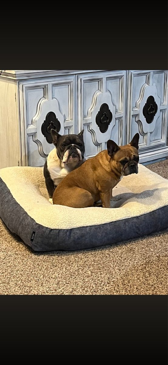 2 frenchy’s