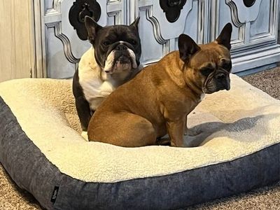 2 frenchy’s