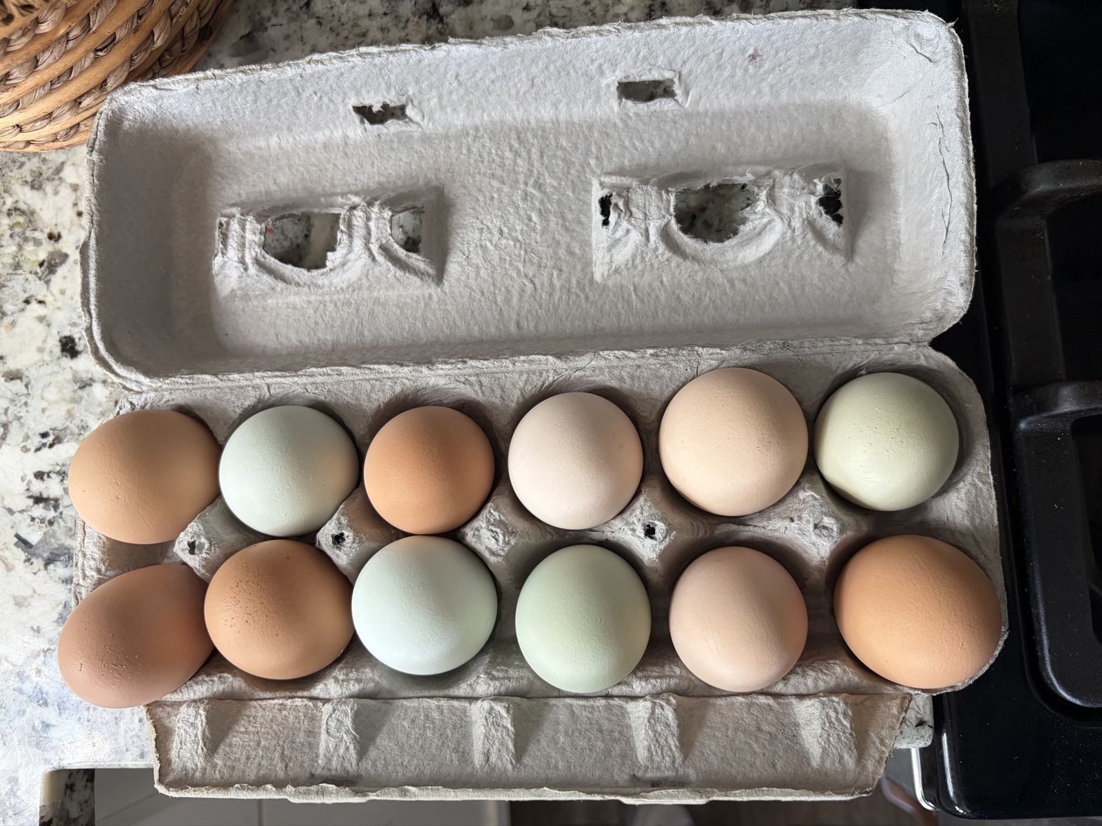 Fresh eggs