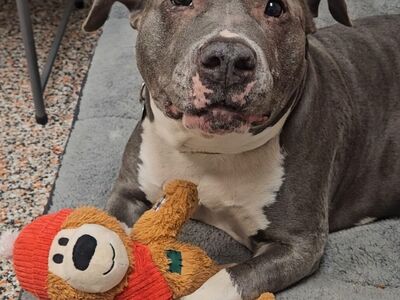 Hello my name is Hattie