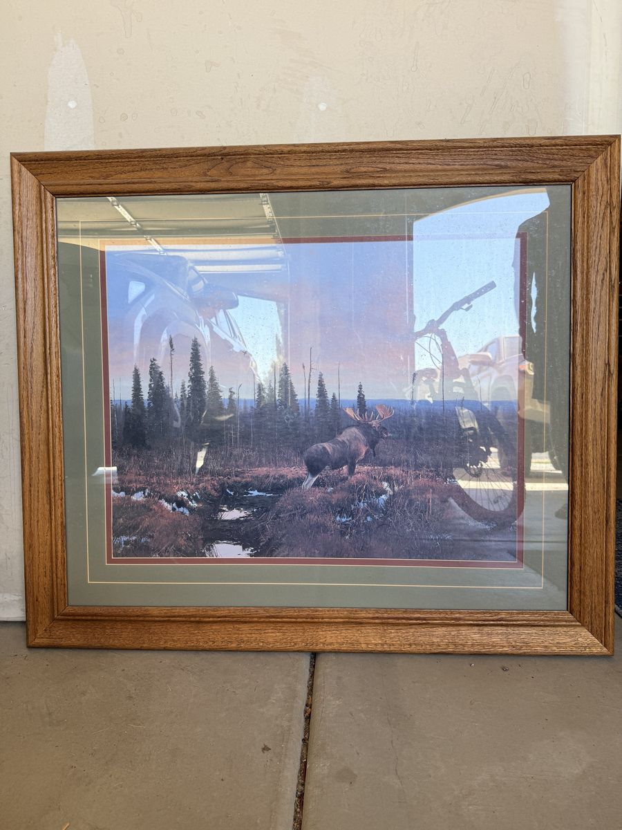 Framed Moose in Wilderness Wall Art Print - Wildlife Nature Scene Picture Decor