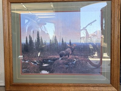 Framed Moose in Wilderness Wall Art Print - Wildlife Nature Scene Picture Decor