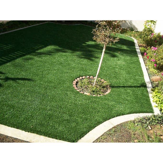 PreGra Fescue 6' x 8' Artificial Turf 1840633  #79618