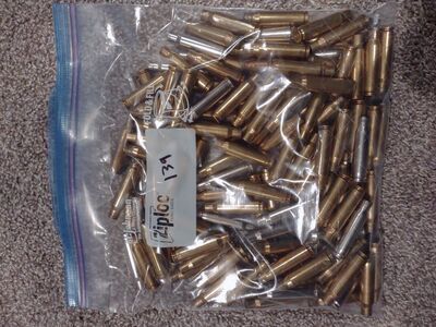 cleaned 308 win brass