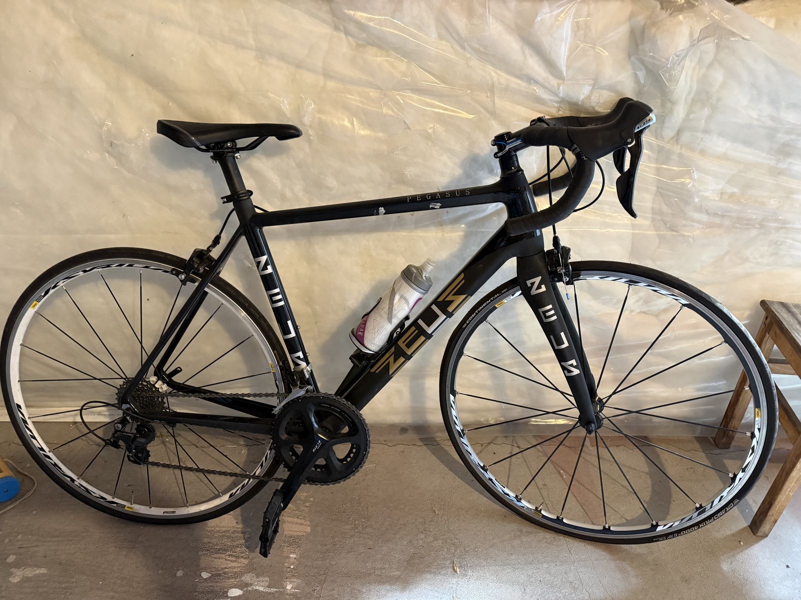 Nexu Pegasus Road Bike