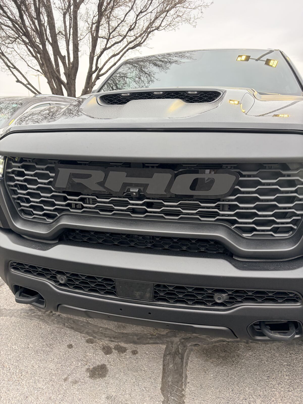 New RHO Ram front badge.